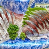 即刻全島避難です！