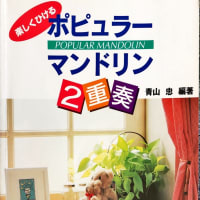 楽しくひける　との事ですが・・・