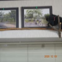 趣味じいさん