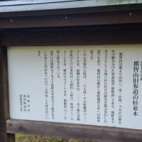 ｢熊野古道｣大門坂を歩く（後編）～GW三重和歌山旅行⑥