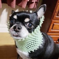 寝グセ