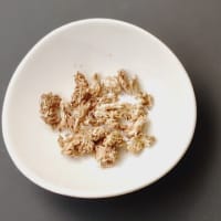 お手軽に苔玉気分