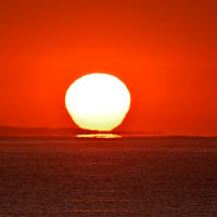 浮き出た網地島からダルマ朝日（2025.03.24　南蒲生海岸）