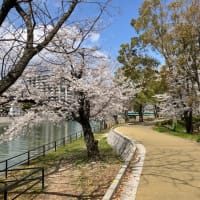花見歩き、2回目