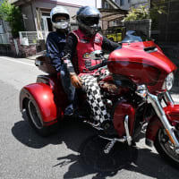 八橋かきつばた