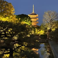 東寺(教王護国寺) 新緑ライトアップ
