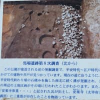 大宰府市の散策記　on　2025-4-9＆4-10　その16　斎藤秋圃旧宅跡