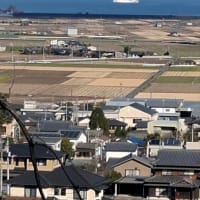 お墓参り。