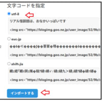 残り荷物の引っ越し～はてなブログ