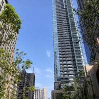 今日いち-2025年7月5日
