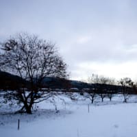 Nhkスペシャルドラマ 坂の上の雲 最終回の感想 Tatsuya Morimoto The Innovation Finder Nhkスペシャルドラマ 坂の上の雲 最終回の感想 Tatsuya Morimoto The Innovation Finder