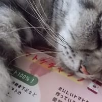 旅行の打ち合わせ