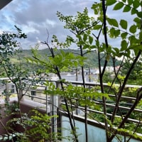 天使の歌声