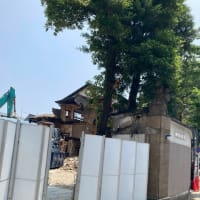 今年もあと半年【福岡市社交ダンス教室・福岡市社交ダンススタジオ・薬院、渡辺通、柳橋・福岡のダンススクールライジングスター】