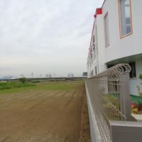 平塚市神田地区～神田幼稚園～田村けやき公園、丹沢山塊、田圃の向こうを新幹線が通り過ぎて行きました