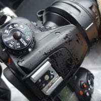 地元エリアは良いネタがないので、軽く足を延ばしてウロウロドライブ、、、※ヘビの写真あり