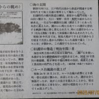 朝の散歩（2025/7/6）・・・姶良市加治木港方面
