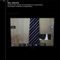 Z6IIでパワーセーブをOnにするとライブビューの解像度が低下する？