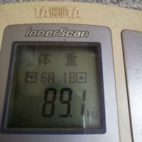 2025.6.2　ＤＡ１７Ｖ！３０万キロオーバー！？