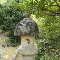 神社・寺散歩２。
