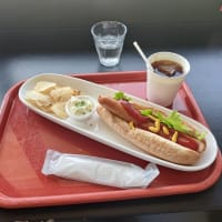 朝箱☆プレーンドック