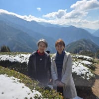 読売新聞にて「隠れ茶」「梅ヶ島」紹介