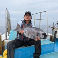 2025年6月分、パイン5号の釣果
