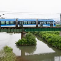 今回もココで青色と遭遇（苦笑） 福井鉄道F1000形 #7