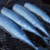 秋刀魚パーティー