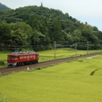 惰性な2263日目　75祭り