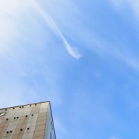 もっと高く 翔んでゆく