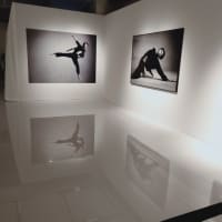 GUCCIのギャラリー写真展「YUZURU HANYU: A JOURNEY BEYOND DREAMS featured by ELLE」