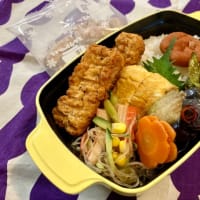 スパイシーステック弁当とグラニーボトムバッグ