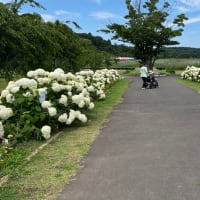 先週の出来事