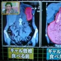 ギャル曽根