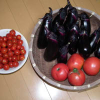 2013.7.30保津
