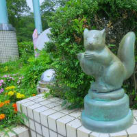 相模原公園散策