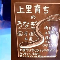 埼玉県産サバ