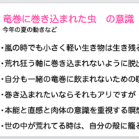 12日のワークショップの内容と、ご質問にお答えしてと、サプリの表示の話とか
