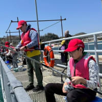 ボーイ隊　魚釣りチャレンジ
