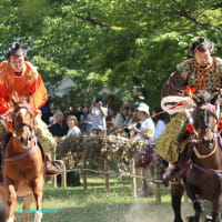 【京都幕間旅情】上賀茂神社-賀茂競馬,桜から楓へ鉦鼓が響けば右の騎手と太鼓が轟けば左の騎手が