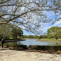 昭和記念公園