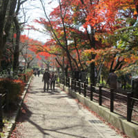 京都で一番の紅葉と大文字