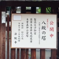 大宮駅 思い出ランキング 飼い猫の遠吠え
