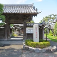焼津市の徳川家康ゆかりの地(2)教念寺