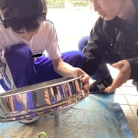 中学部　「地域をきれいにしよう」