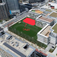 晴海西小中学校の校庭への仮設校舎設営（第二校舎始動までの間の令和9〜10年）、令和７年６月４日開催教育委員会定例会で議論