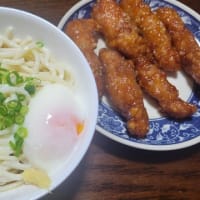 暑さで、食欲も激減、こんな食事で元気が保てるかな～～