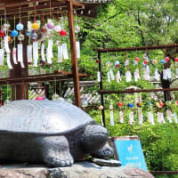 2025 松尾大社「風鈴祈願」