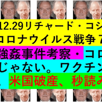 2024.12.29リチャード・コシミズ新型コロナウイルス戦争７４１